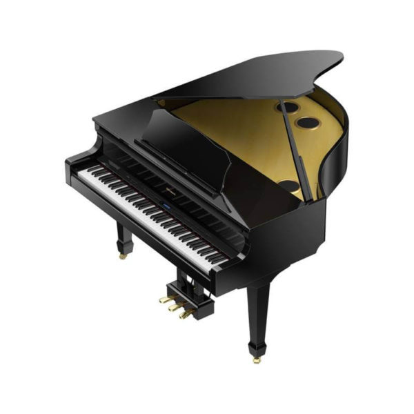 Roland GP 609